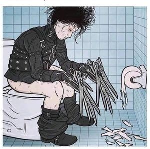 Meet your Posher, Brady